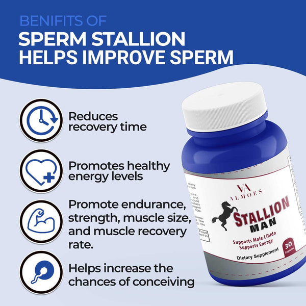 Sperm Stallion - almoes.inc