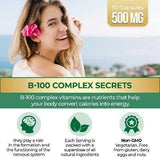Vitamin B100 complex - almoes.inc